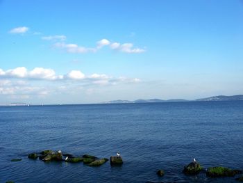 Scenic view of sea against blue sky