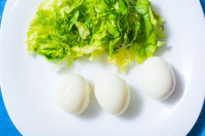 High angle view of chopped vegetables in plate