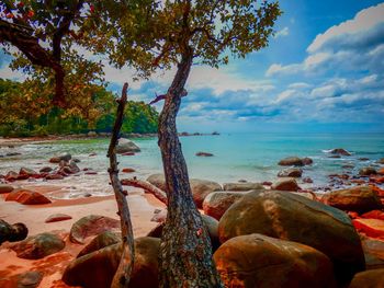 Scenic view of sea against sky