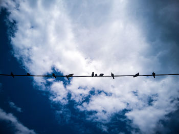Low angle view of birds perching on cable