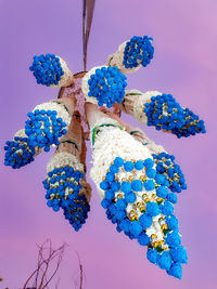 Low angle view of purple flowering plant against blue sky