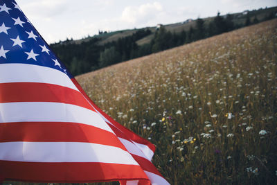 Low angle view of american flag on field