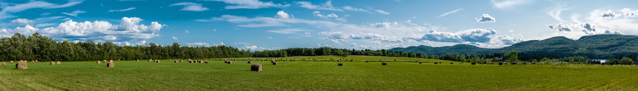 Panoramic view of landscape against sky