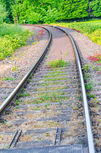 High angle view of railroad tracks by plants