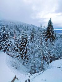 snow