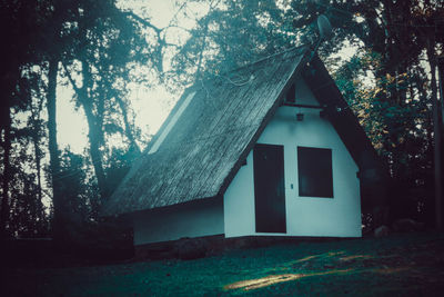 Abandoned house amidst trees and plants in forest