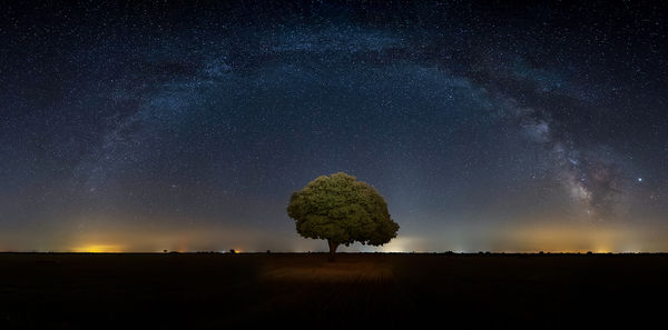 Scenic view of tree on land against star field at night