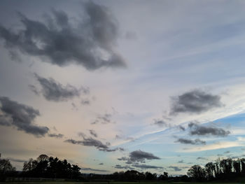 Low angle view of silhouette trees against sky during sunset