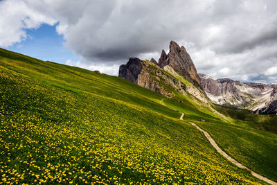 Scenic view of landscape against sky