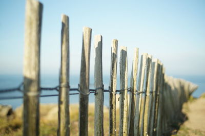 View of wooden posts in the sea