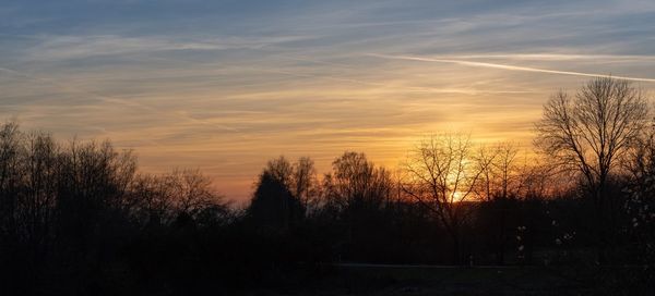 Silhouette trees and plants against sky during sunset