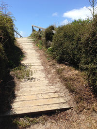 Dirt road amidst plants against sky