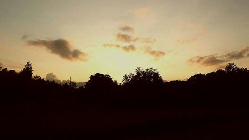 Silhouette of trees at sunset