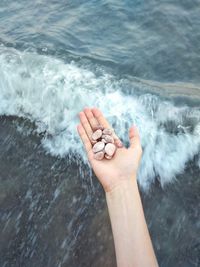 Cropped hand of woman holding seashells over sea