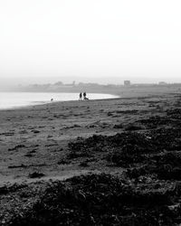 Man on beach against clear sky