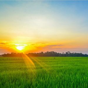 Scenic view of field against sky during sunset