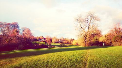 Scenic view of grassy field against sky