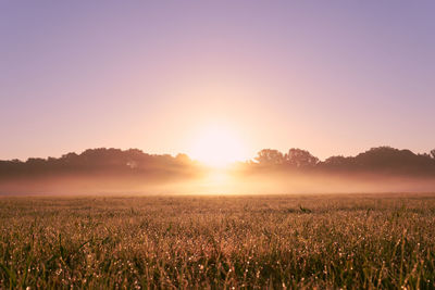 Scenic view of field against clear sky at sunset