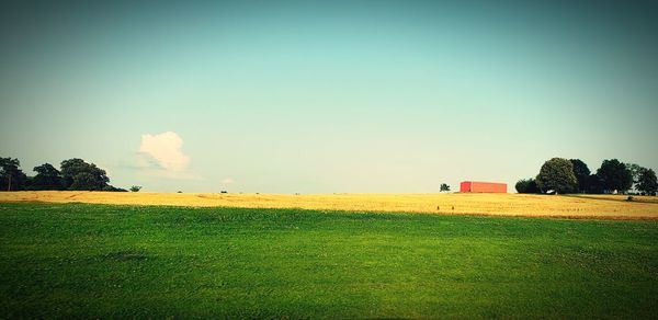 Scenic view of field against sky