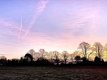 Silhouette trees and plants against sky during sunset