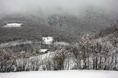 Scenic view of field during winter