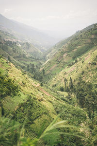 environment