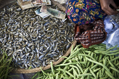 Low section of woman selling fishes and vegetables at market