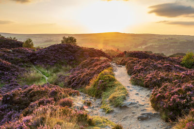 Scenic view of landscape against sky during sunset