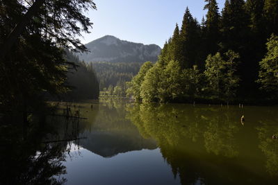 Scenic view of lake by trees against sky