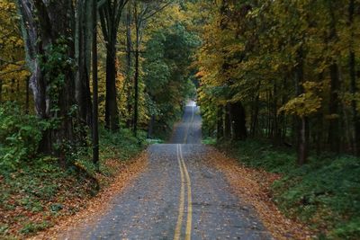 Empty road amidst trees in forest during autumn