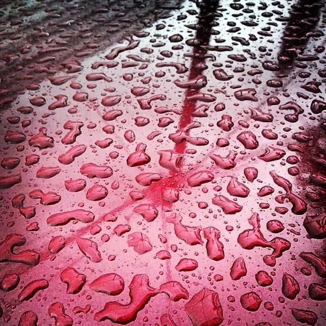 wet, full frame, water, indoors, drop, backgrounds, pattern, rain, season, window, textured, high angle view, glass - material, weather, day, close-up, no people, raindrop, transparent