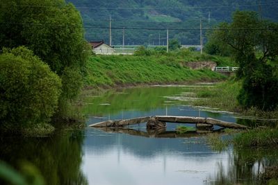 Scenic view of lake against trees