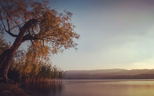 Scenic view of lake against sky during autumn