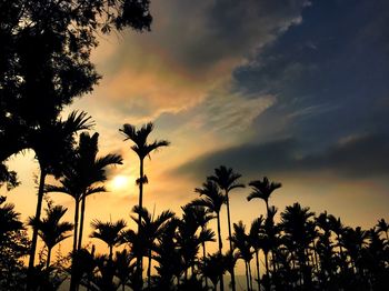 Silhouette trees against sky during sunset