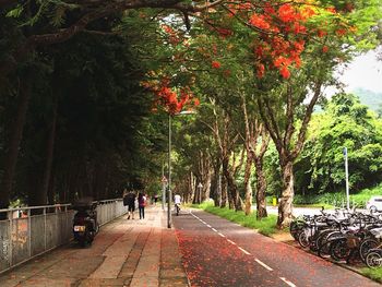 People amidst trees against sky