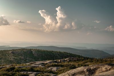 Scenic view of landscape against sky