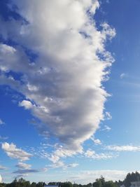 Low angle view of trees against blue sky