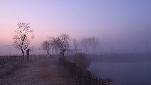 Bare trees by lake against sky during sunset