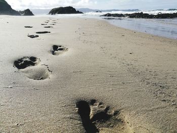 High angle view of footprints on sand at beach