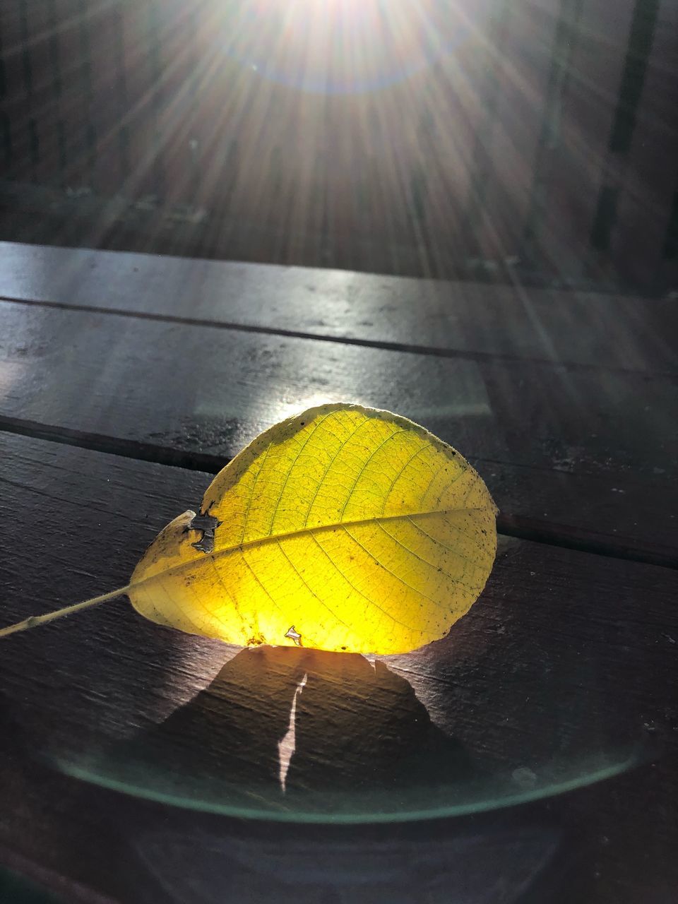 HIGH ANGLE VIEW OF YELLOW UMBRELLA ON TABLE