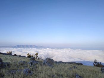 Scenic view of landscape against clear blue sky