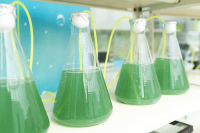 Close-up of green chemicals in beakers on table