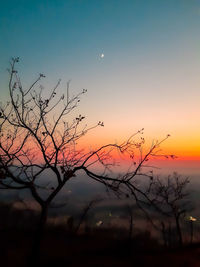 Silhouette bare tree against sky during sunset