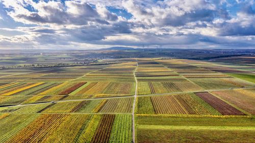 Aerial view of agricultural field against sky