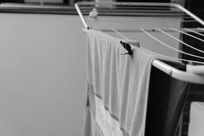 Close-up of clothes drying on clothesline