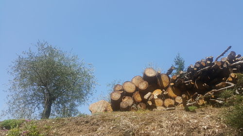 Stack of logs on field against clear sky