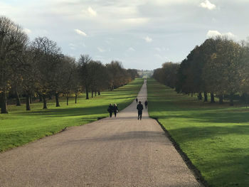 Rear view of people walking on footpath against sky