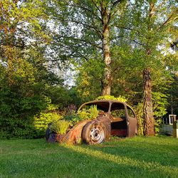 Abandoned car on field