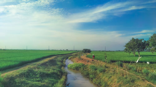 Road amidst field against sky