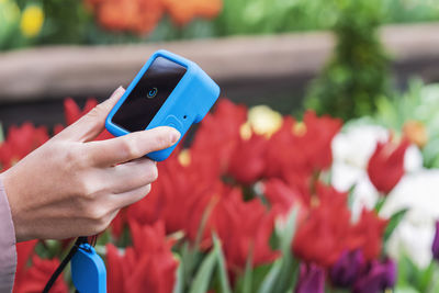 Cropped hand of woman using mobile phone